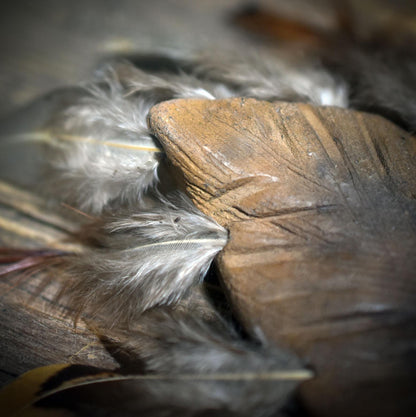 Räucherfächer /Federn der Elemente/ – Handgefertigt aus Ton und echten Federn - archaische Rauchbrandkunst - Ritualbedarf
