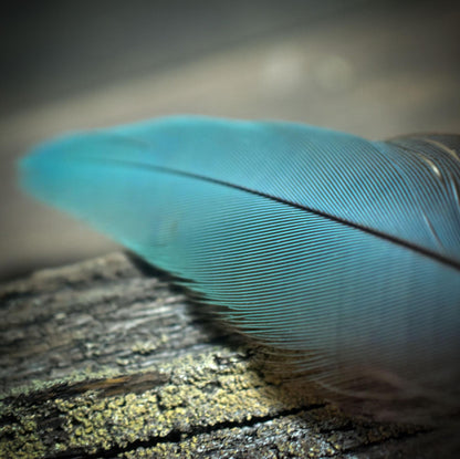 Ritualstab /Kraft der Großen Göttin/ – Rauchquarz, Ton & Papageienfedern - Griff aus Ton - Ritualwerkzeug - Art.Nr.: RST024