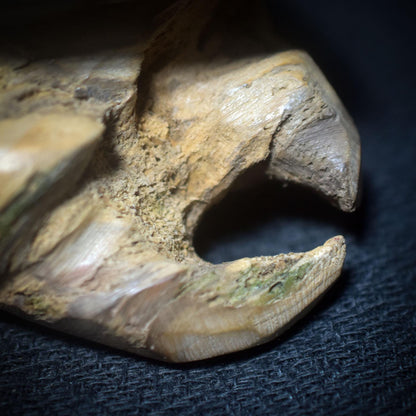 Cernunnos – Wächter des Waldes und der Tiere - spirituelle Dekoration des keltischen Gottes - Altar Dekoration - Art.Nr.: SKU150