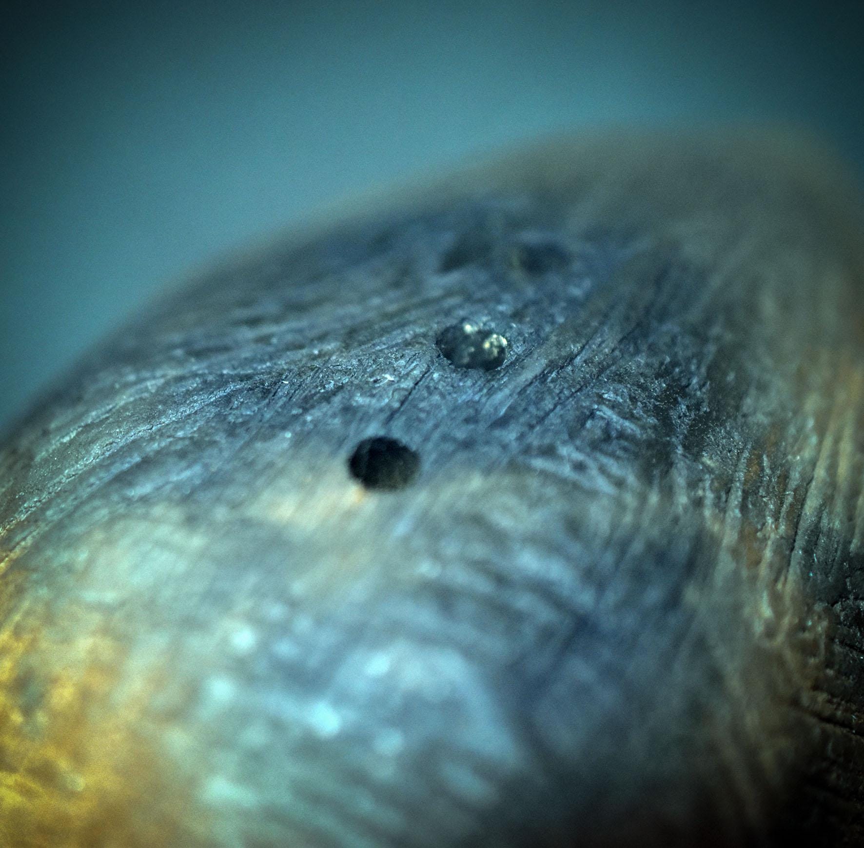 Der Rhythmus der Seele – Schamanische Handrassel aus Ton - kraftvolles Ritualwerkzeug - Art.Nr.: SRA041