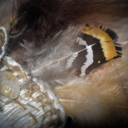 Räucherfächer der Transformation – Kraftvolles Werkzeug für deine Zeremonien - Räucherzeremonie, spirituelles Werkzeug