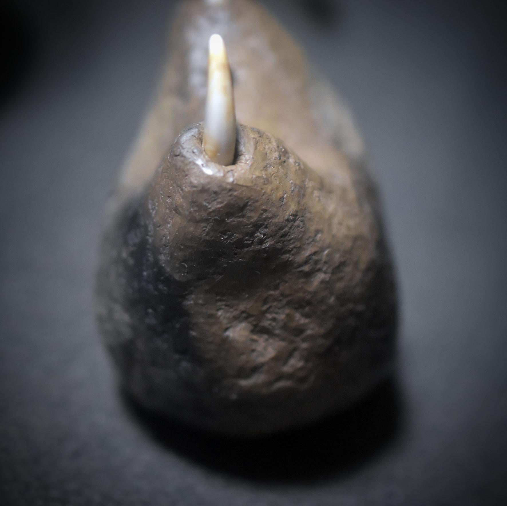 Aufstieg der Seele – Schamanische Rassel mit Stoßzähnen und dem Symbol -The Rising Woman - Klangkörper aus Ton - Art.Nr.: SRA044