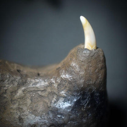 Aufstieg der Seele – Schamanische Rassel mit Stoßzähnen und dem Symbol -The Rising Woman - Klangkörper aus Ton - Art.Nr.: SRA044