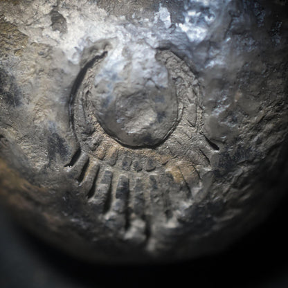 Aufstieg der Seele – Schamanische Rassel mit Stoßzähnen und dem Symbol -The Rising Woman - Klangkörper aus Ton - Art.Nr.: SRA044