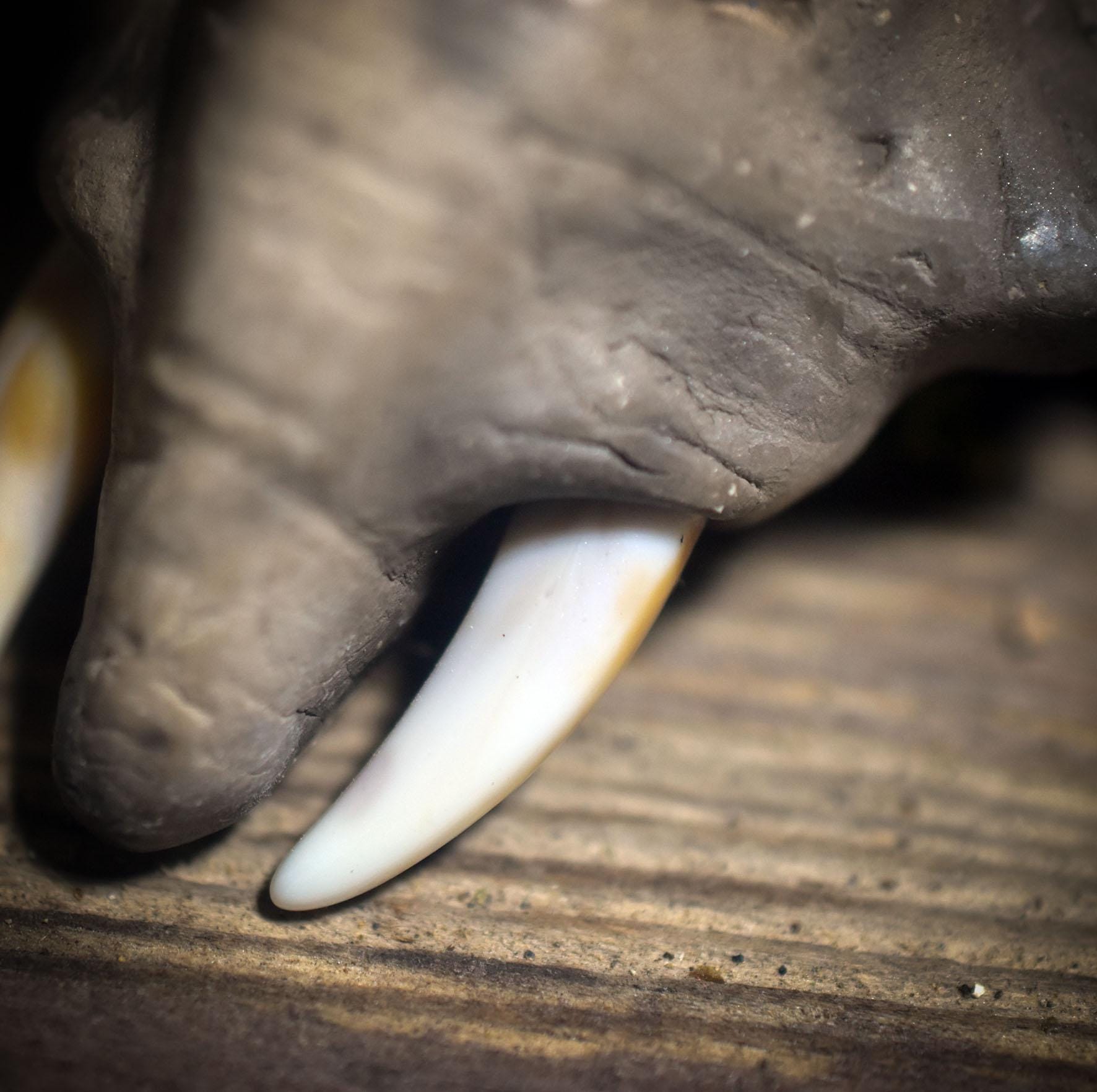 Die majestätische Stärke des Elefanten – Handgefertigtes Rauchbrand-Amulett - Schmuckstück deines Krafttieres - Art.Nr.: AMU062