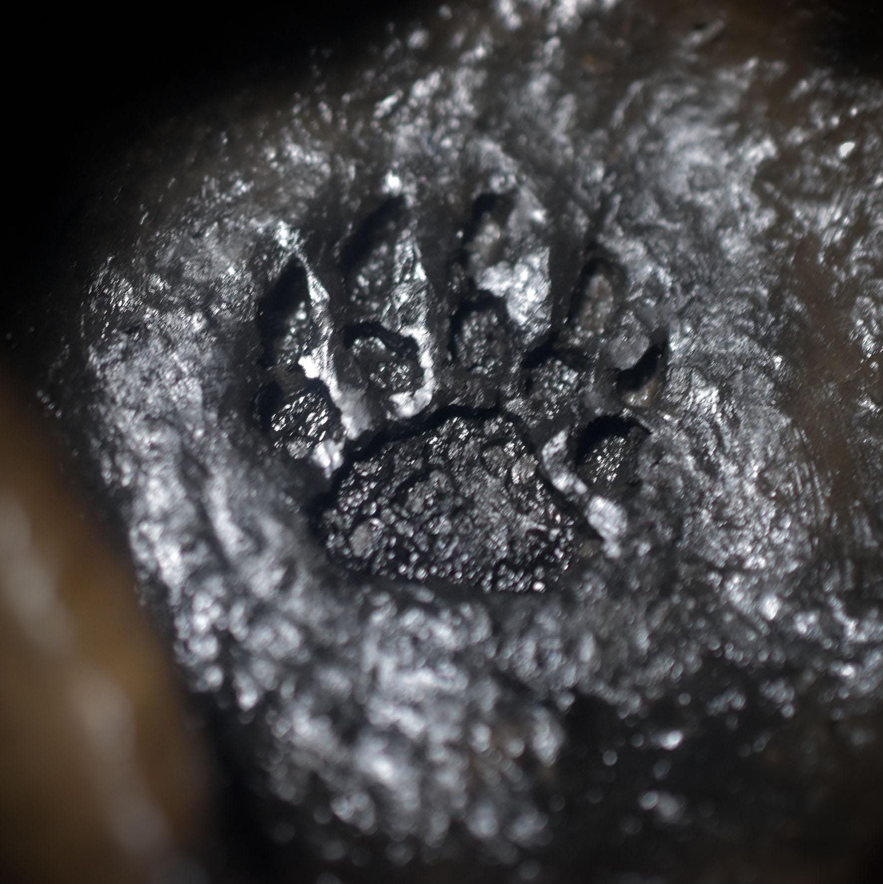 Hütte der Bärenkraft – 4-in-1 Gefäß - archaisch anmutend, aus Ton -Duftlampe/Räuchergefäß/Räucherstövchen/Teelichthalter