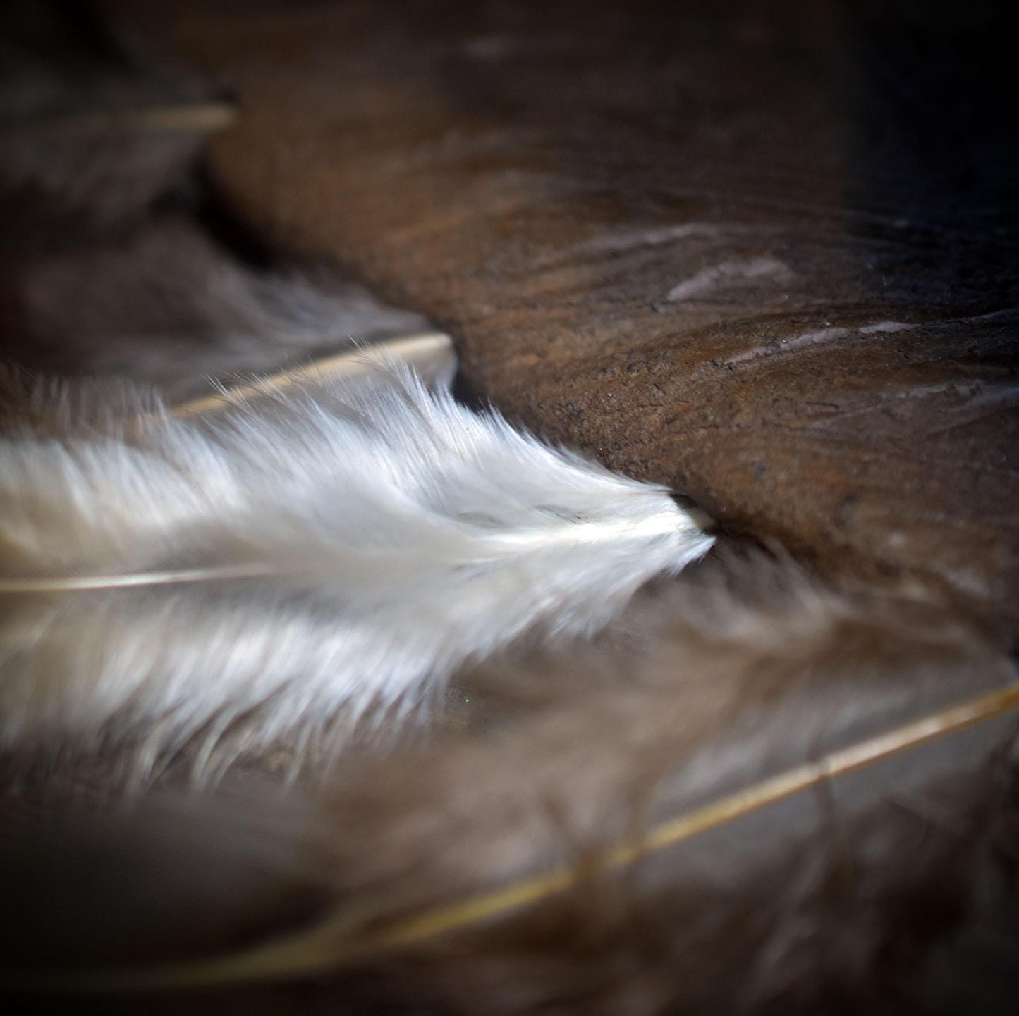 Räucherfächer /Federn der Elemente/ – Handgefertigt aus Ton und echten Federn - archaische Rauchbrandkunst - Ritualbedarf