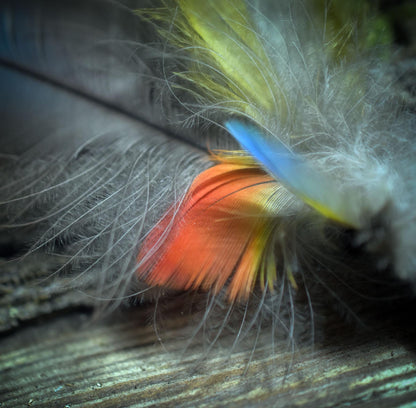 Ritualstab /Kraft der Großen Göttin/ – Rauchquarz, Ton & Papageienfedern - Griff aus Ton - Ritualwerkzeug - Art.Nr.: RST024