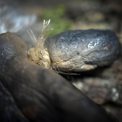 Federn des Lichts – Handgefertigte Räucherfedern aus Ton und echten Federn - Ritualwerkzeug - Art.Nr.: RÄF014