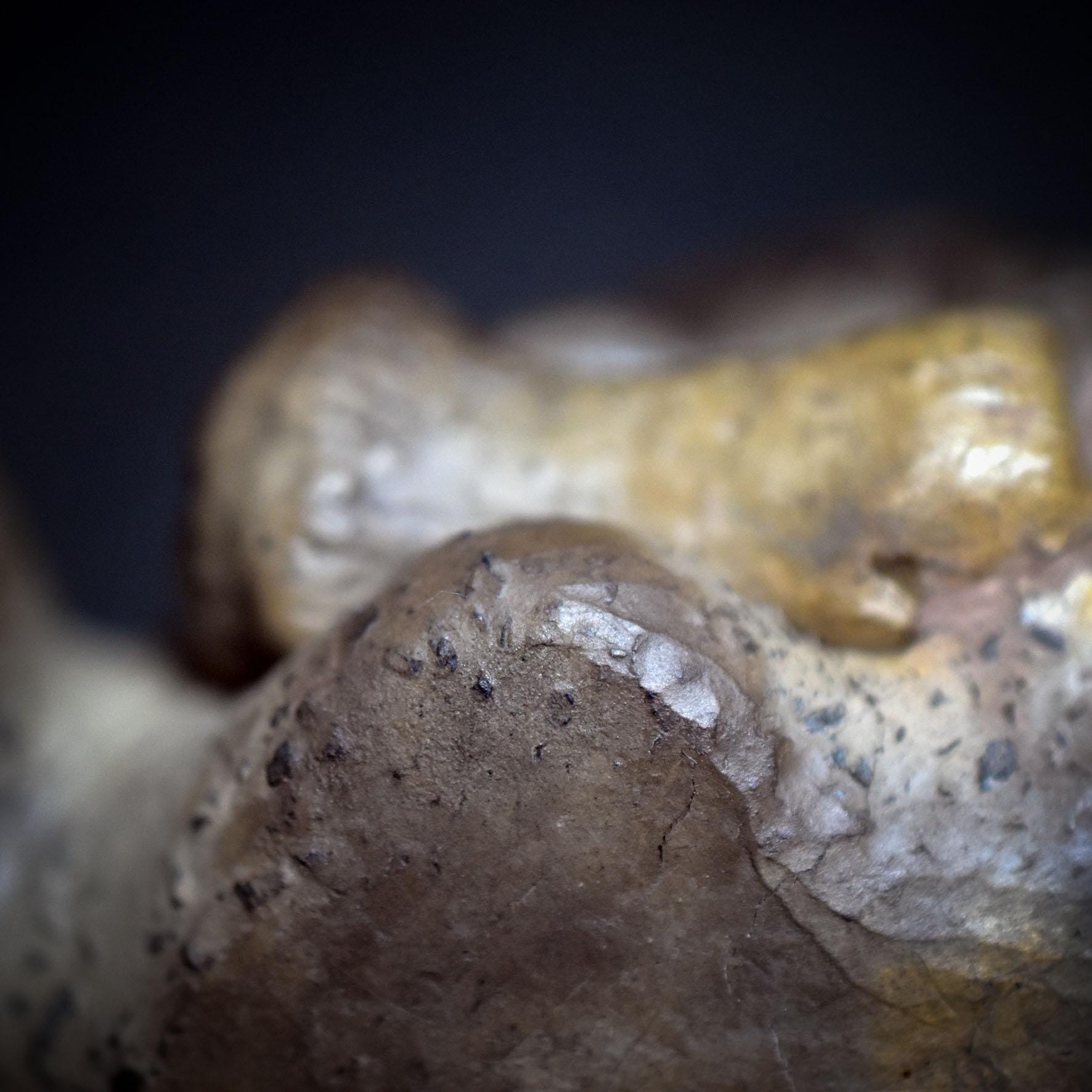 Liegende Ur-Venus mit Pilz – Symbol der Fruchtbarkeit - eigene Interpretation der Venus von Willendorf