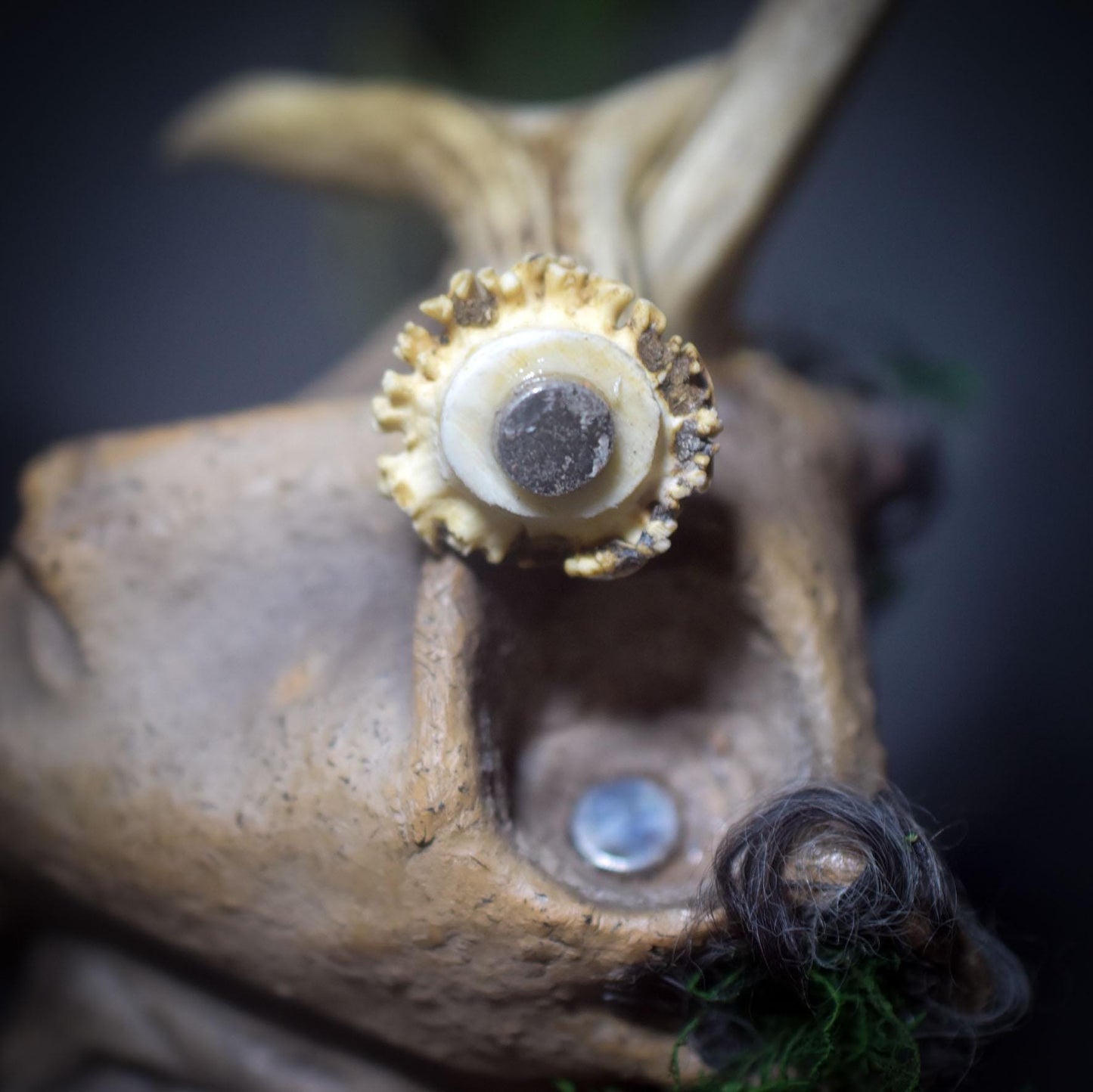 Cernunnos – Hüter des Waldes und der wilden Seele - keltische Mythologie, traditionell gebrannte Rauchbrandkunst - Art.Nr.: SKU155