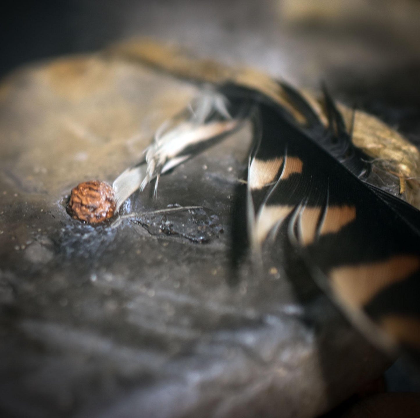 Ritualstab Eye Idol – Rauchbrandkunst & archaische Naturkraft - kraftvolles Ritualwerkzeug aus Ton und Holz - Art.Nr.: RST025