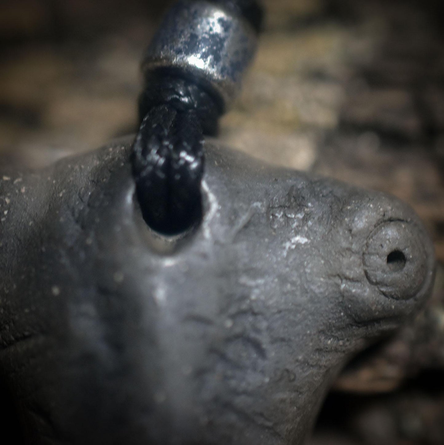 Die Weisheit der Gottesanbeterin – Traditionelles Rauchbrand-Amulett - Krafttier Kette - Art.Nr.: AMU061