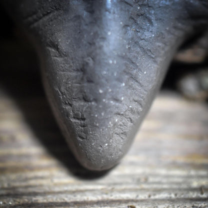 Die Weisheit der Gottesanbeterin – Traditionelles Rauchbrand-Amulett - Krafttier Kette - Art.Nr.: AMU061