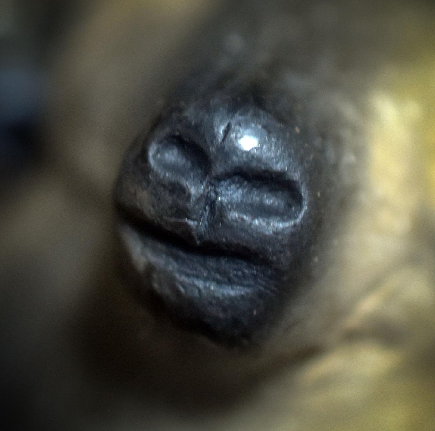 Die urwüchsige Kraft des Wolfes – Handgefertigtes Rauchbrand-Amulett - spiritueller Krafttier Schmuck