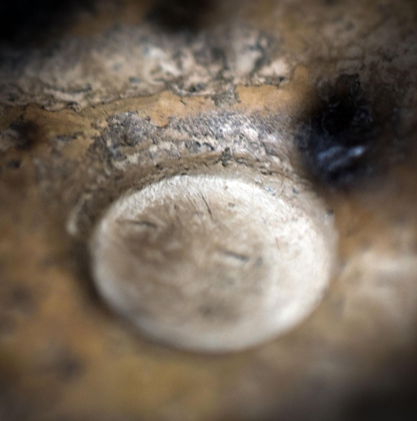 Dein Rauhnachtsbegleiter – Handgefertigter Ritualteller mit 12 Monatsmulden und wählbarem Symboldesign - Art.Nr.: JUL006