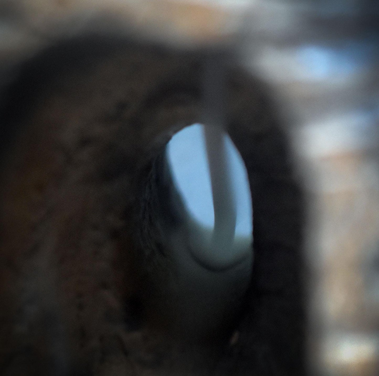 Rückfluss Räucherkegelhalter – Rauchbrand-Turm mit Wicca Blessing Symbol, Eichel & Ilex - Art.Nr.: RÄH037