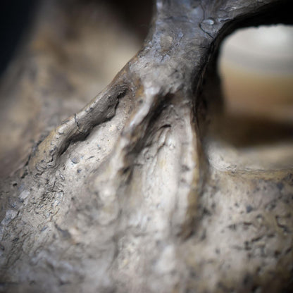 Tor zwischen den Welten – Schädel in Rauchbrandkunst als 4-in-1 Räuchergefäß - Duftlampe, Räucherstövchen, Teelichthalter