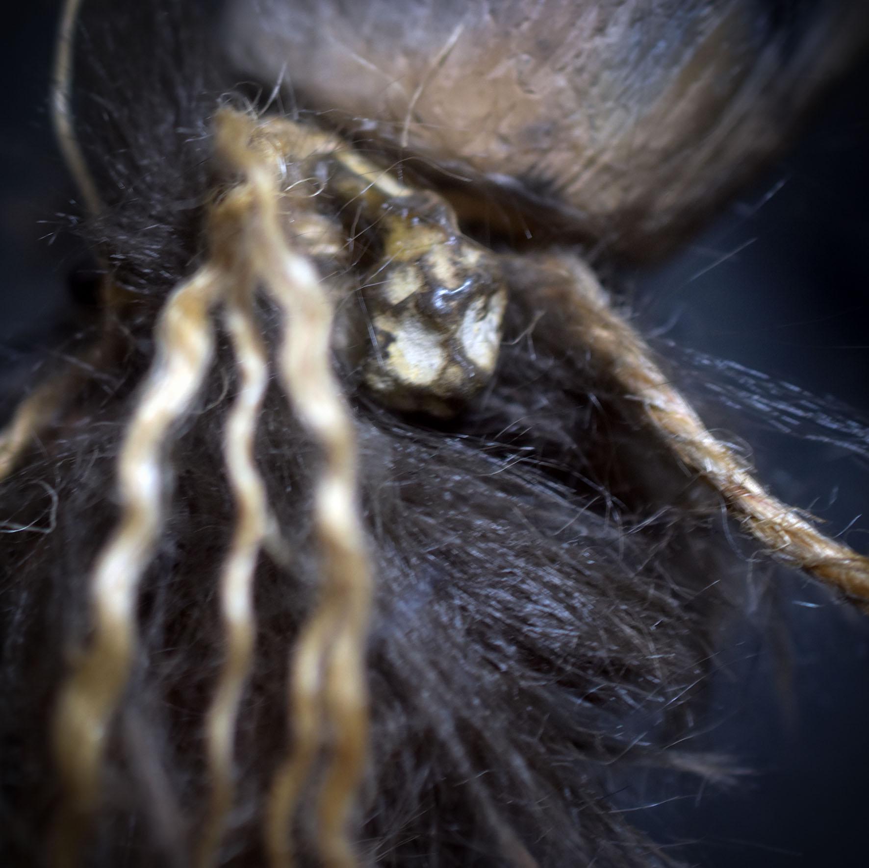 Ritualstab „Schutz“ – Wolfskopf aus Ton mit Obsidian, Hagstone und Jute - Art.Nr.: RST036