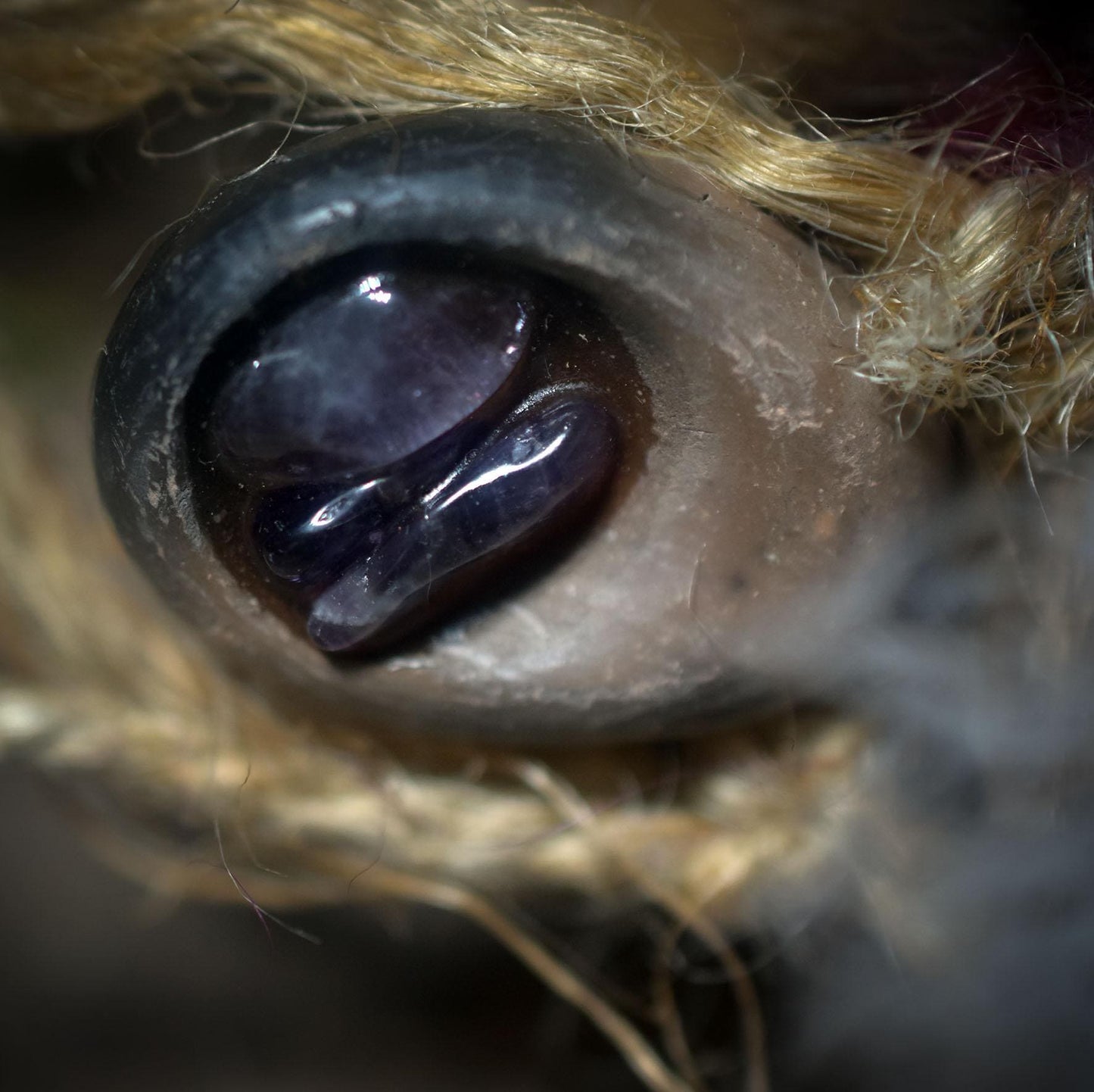 Ritualstab Intuition – Halbmond aus traditionell gebranntem Ton mit Amethyst & Kupfer