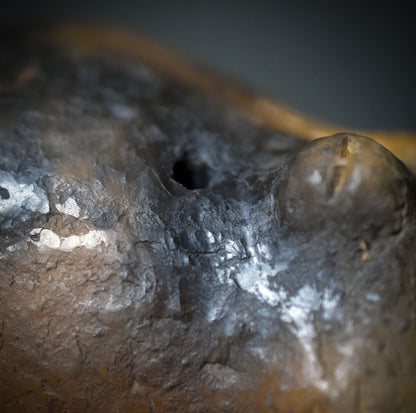 Schamanische Bärenrassel aus Rauchbrand – Krafttier Bär Ritualrassel - Art. Nr.: SRA055