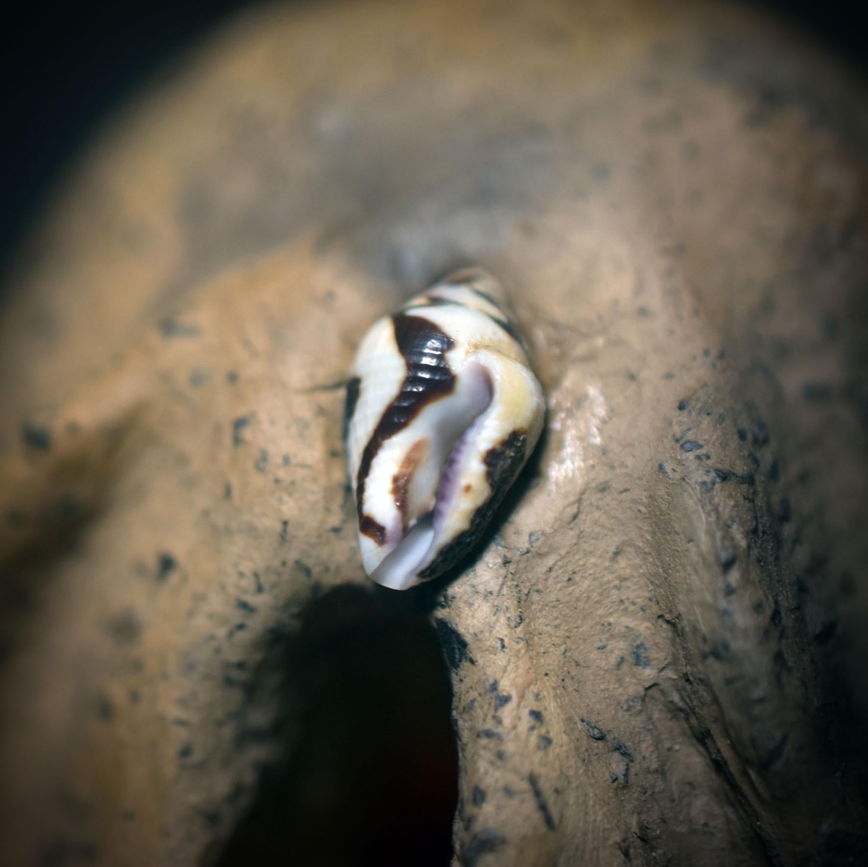 Archaisches Yoni Objekt – Rauchbrandkunst mit Muschel und innerem Licht - Art.Nr.: TKH016