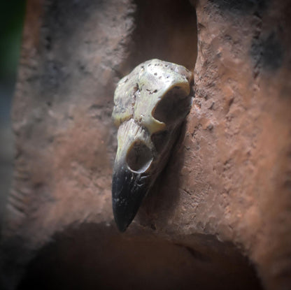 Rückfluss Räucherkegelhalter – Rauchbrand-Turm mit eingearbeitetem Vogelschädel - RÄH043