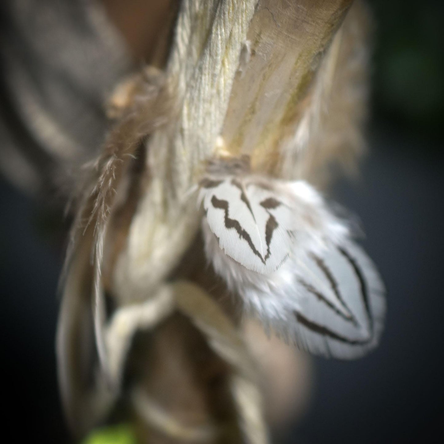 Ritualstab der Heilung & Selbstliebe – archaische Kunst aus traditionell gebranntem Ton - RST041