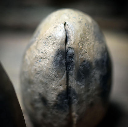 Set der fünf Ur-Eier – Ostara & Neubeginn - Frühzeitliche Ton-Eier im Rauchbrand - FRO037