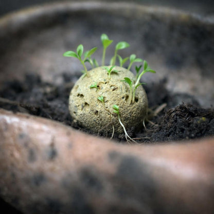 Ostara Set – Archaisches Ritualobjekt aus traditionell gebranntem Ton für Neubeginn - FRO041