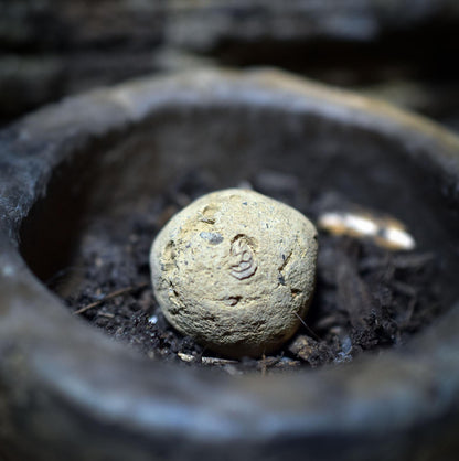 Neubeginn – Ostara Set aus Ton - Ei · Saat-Schale · Altarstein mit Seedball - FRO040