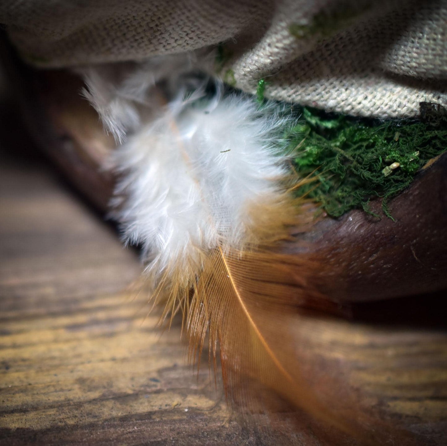 Geborgen – Das gepuckte Kind im Schutz des Waldes - SKU223