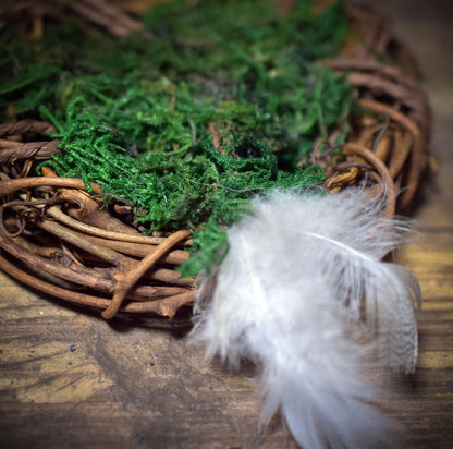 Brütende Henne – Hüterin des Keims - FRO045