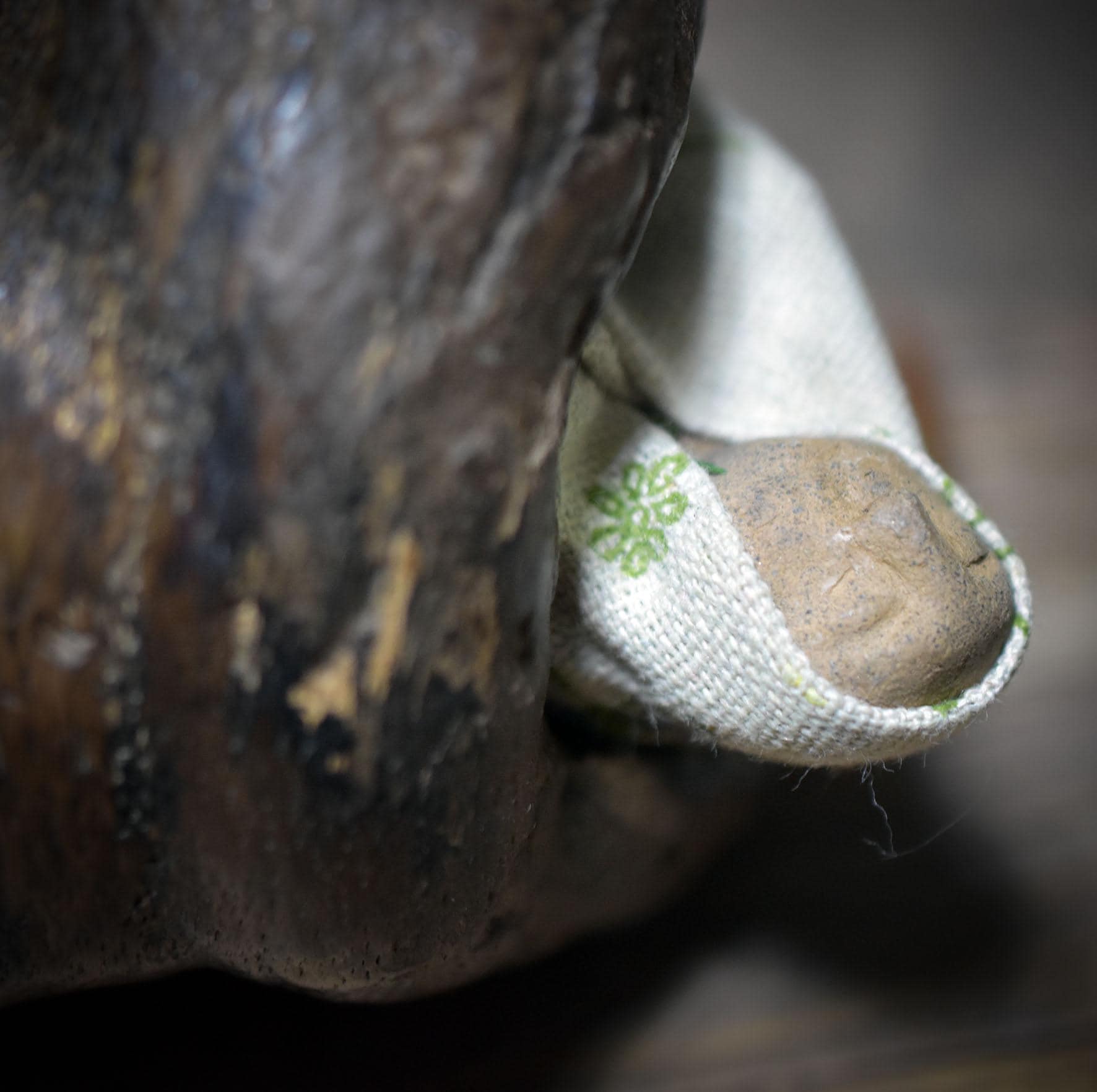 Geborgen – Das gepuckte Kind im Schutz des Waldes - SKU223