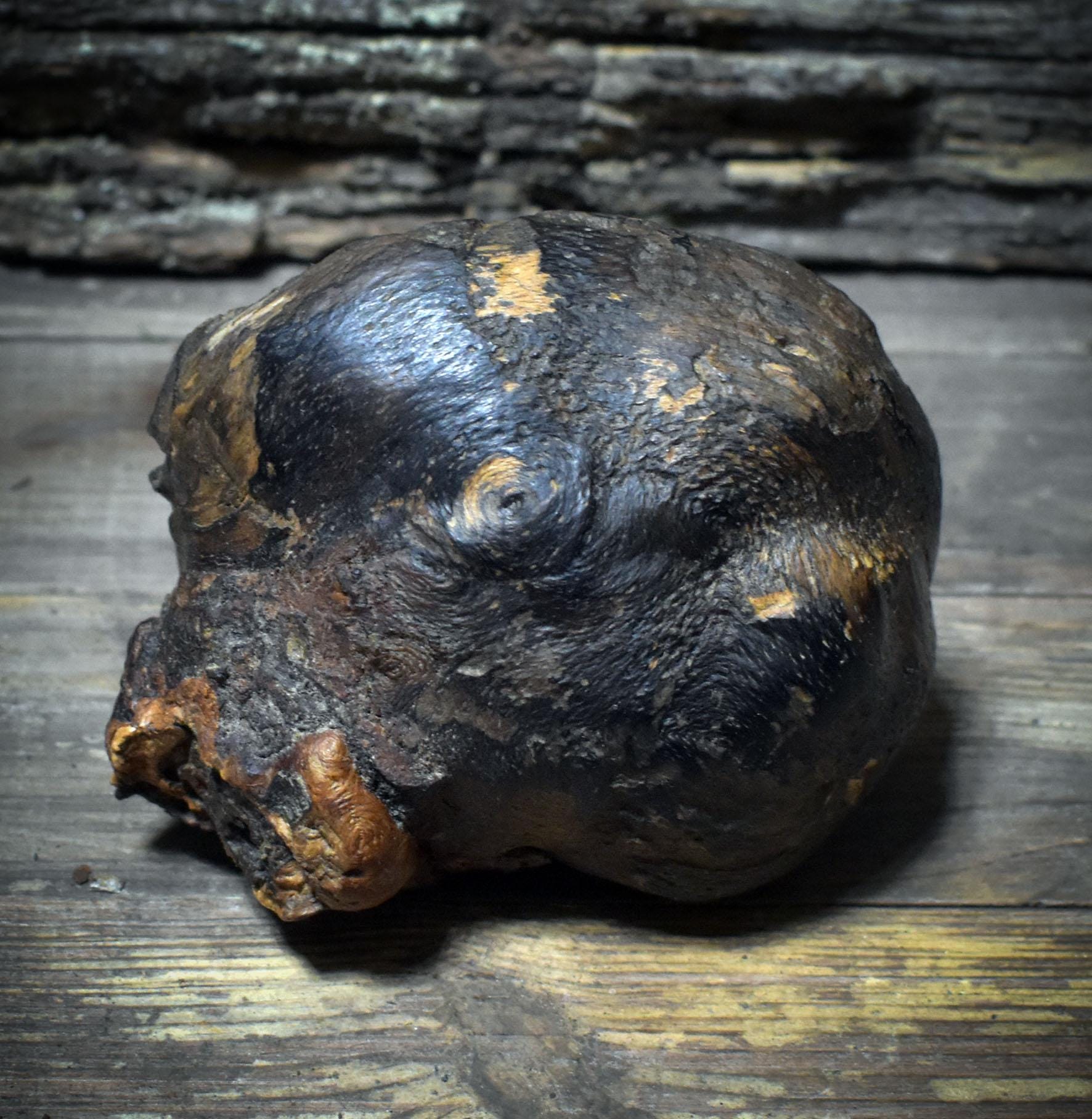 Geborgen – Das gepuckte Kind im Schutz des Waldes - SKU223