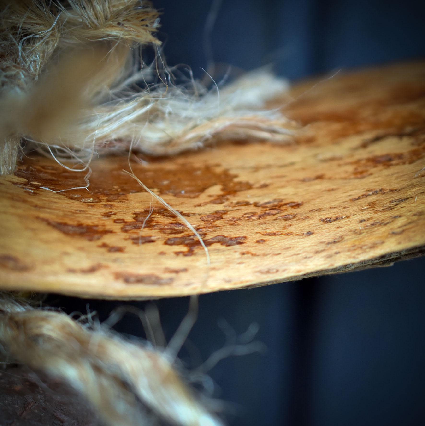 Ostara – Hexenglocke des Erwachens - HEX030