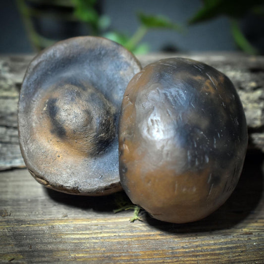 Erdkern aus Rauchbrandton – zweiteiliger Handstein für Selbstregulation, Erdung & achtsame Berührung ERK001