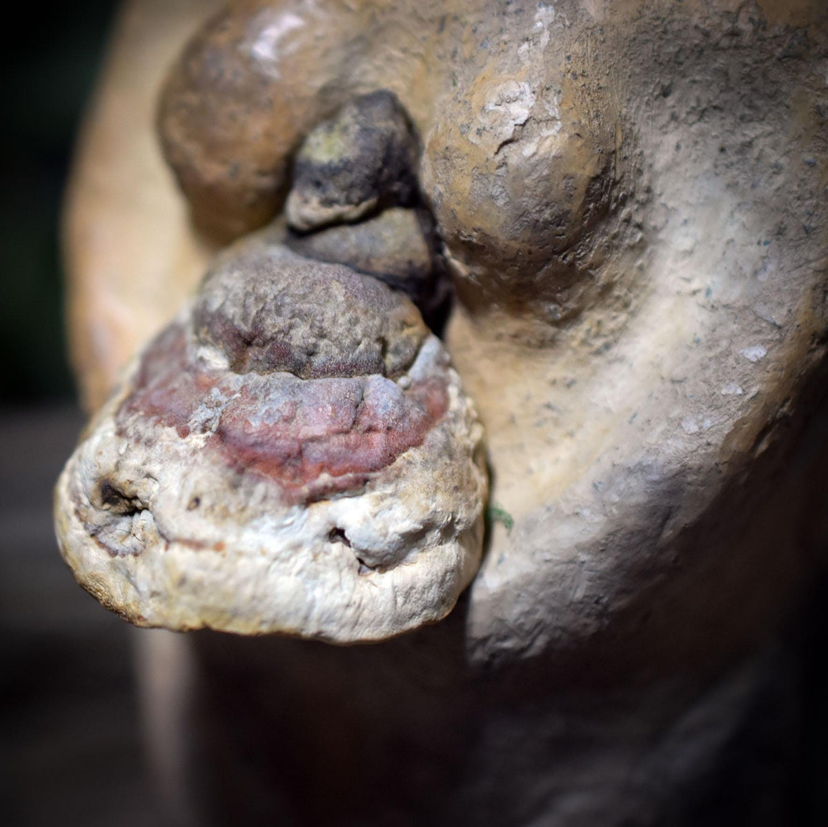 Hüterin des Waldes Skulptur aus Ton – Archaische Waldgeist Figur mit Baumpilz & Moos – Spirituelle Erdkunst, Natur-Altar Dekoration