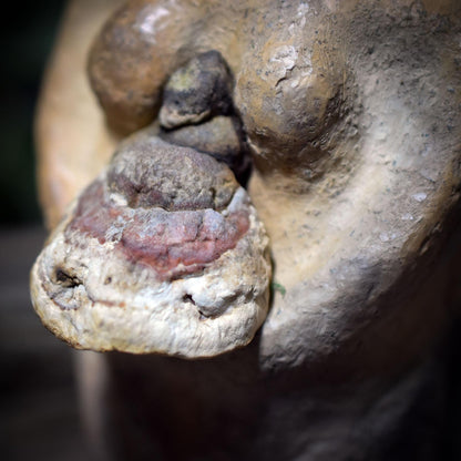 Hüterin des Waldes Skulptur aus Ton – Archaische Waldgeist Figur mit Baumpilz & Moos – Spirituelle Erdkunst, Natur-Altar Dekoration