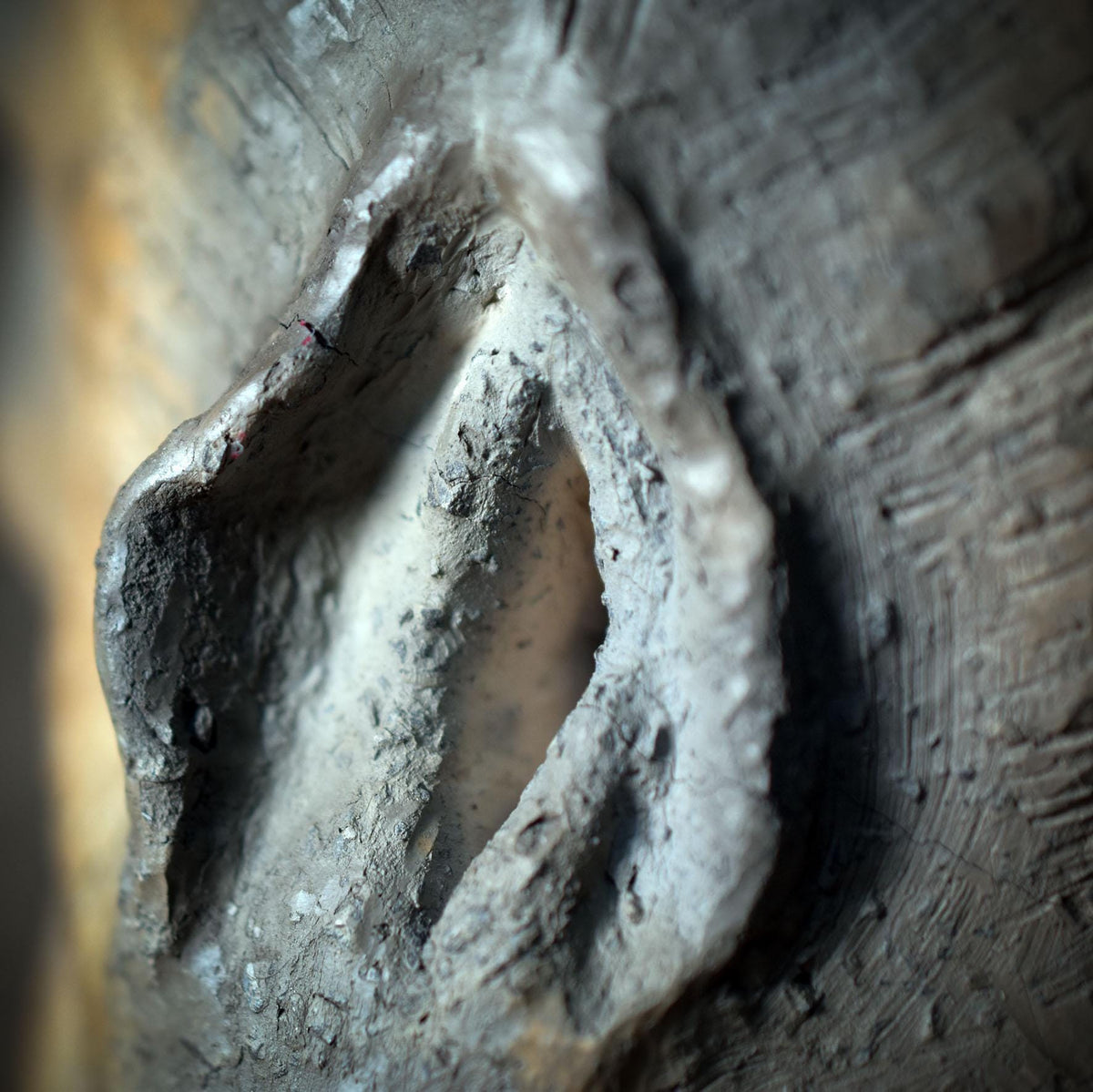 Yoni Skulptur in Muschelform – Weibliche Urkraft Kunstobjekt – Handgefertigte Göttinnen-Statue zur Heilung & Selbstliebe