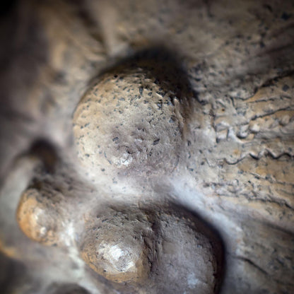 Yoni Göttin Skulptur in Muschelform – archaische Tonfigur aus Rauchbrand