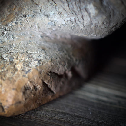 Yoni Göttin Skulptur in Muschelform – archaische Tonfigur aus Rauchbrand