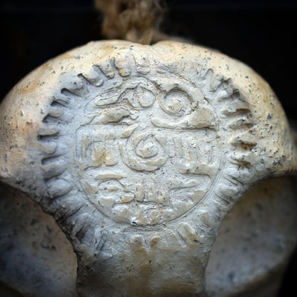 Vogelschädel Wandobjekt mit Adler-Relief, Schamanische Skulptur aus Ton, Wandschmuck mit echten Federn & Fell, Unikat 40cm HEX041
