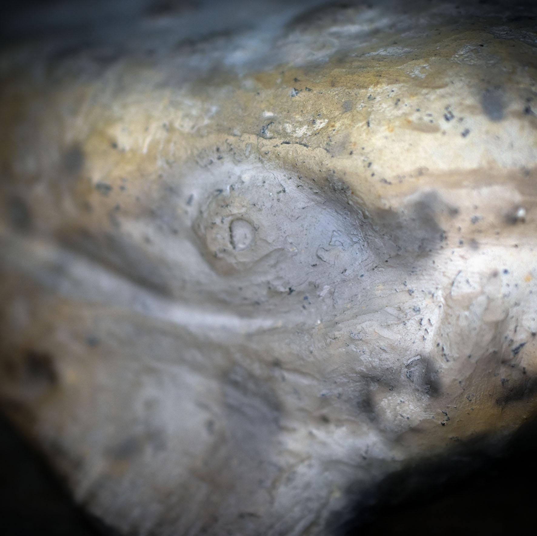 Wal Skulptur aus Rauchbrandton, Krafttier Figur handgefertigt, Archaische Meereskunst, Spirituelles Altarobjekt Wal Unikat SKU268