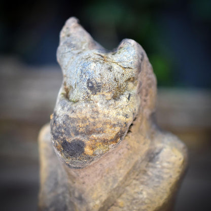 Cernunnos Statue Gott des Waldes, keltische Altar Figur handgemacht, keltischer Gott aus Ton & echtem Baumpilz, Druiden Deko SKU270