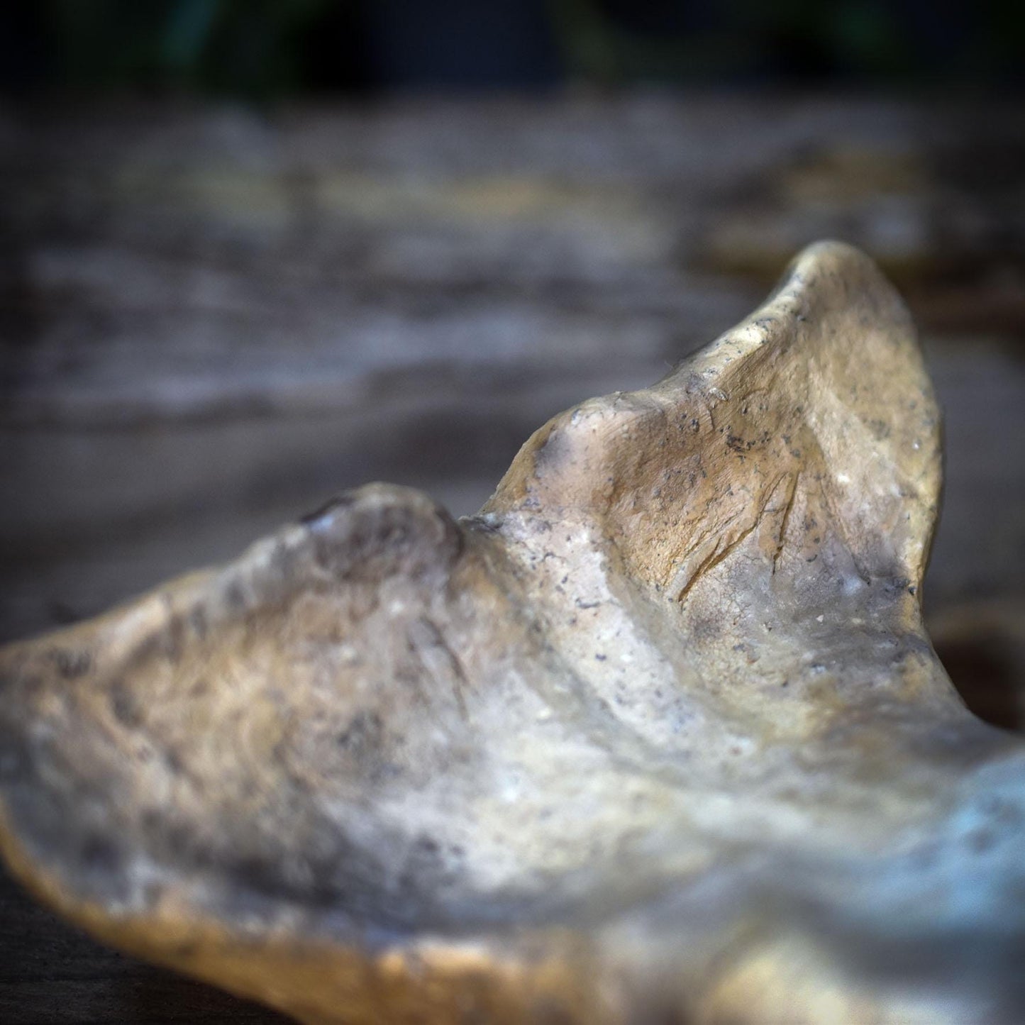 Wal Skulptur aus Rauchbrandton, Krafttier Figur handgefertigt, Archaischer Hüter der Tiefe, Spirituelle Meereskunst Unikat 735g SKU269