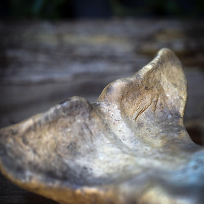 Wal Skulptur aus Rauchbrandton, Krafttier Figur handgefertigt, Archaischer Hüter der Tiefe, Spirituelle Meereskunst Unikat 735g SKU269