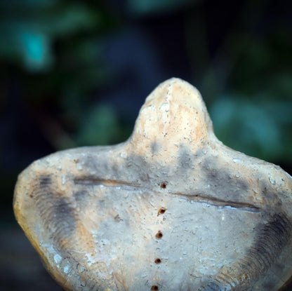 Göttinnen Skulptur mit Ammonit, Archaische Frauenfigur aus Ton, Spirituelle Erdgöttin, Urzeit Symbolik, Handgefertigtes Unikat