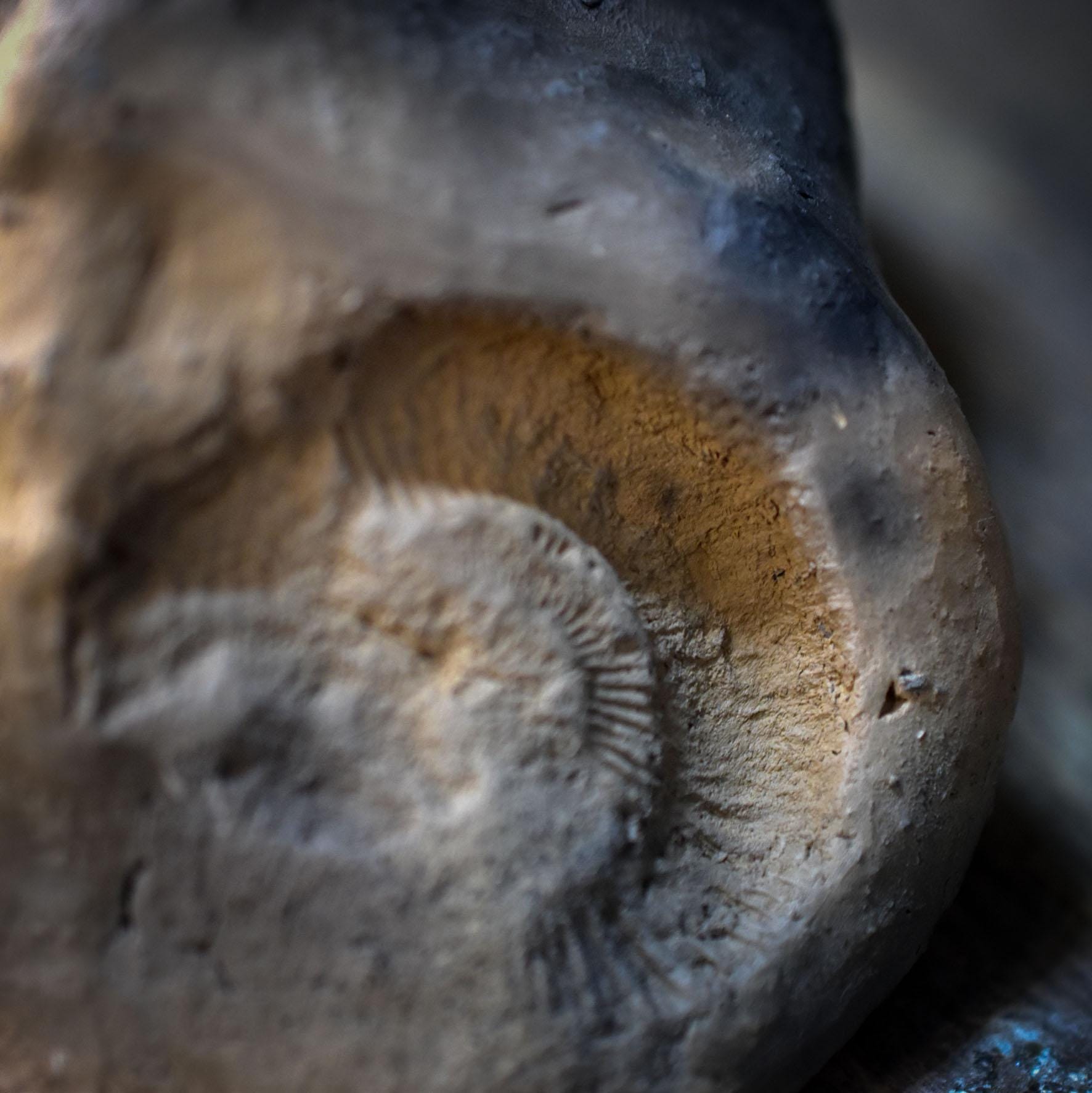 Yoni Rückfluss Räucherhalter aus Ton, Wasserfall Räucherkegelhalter mit Ammonit, Archaische Göttinnen Kunst, Ritualbedarf RÄH065