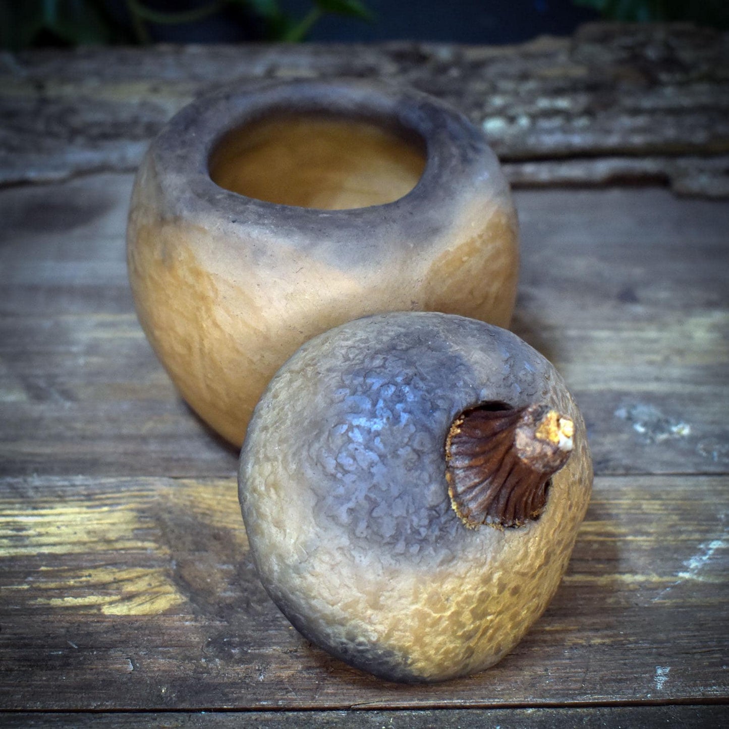 Dose mit Deckel stilisierte Eichel, Archaisches Tongefäß Naturform, Handgeformte Keramik Vorratsdose, Altar Schmuckdose Unikat GEF020